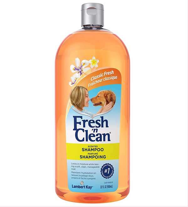 Fresh Clean Shampoo