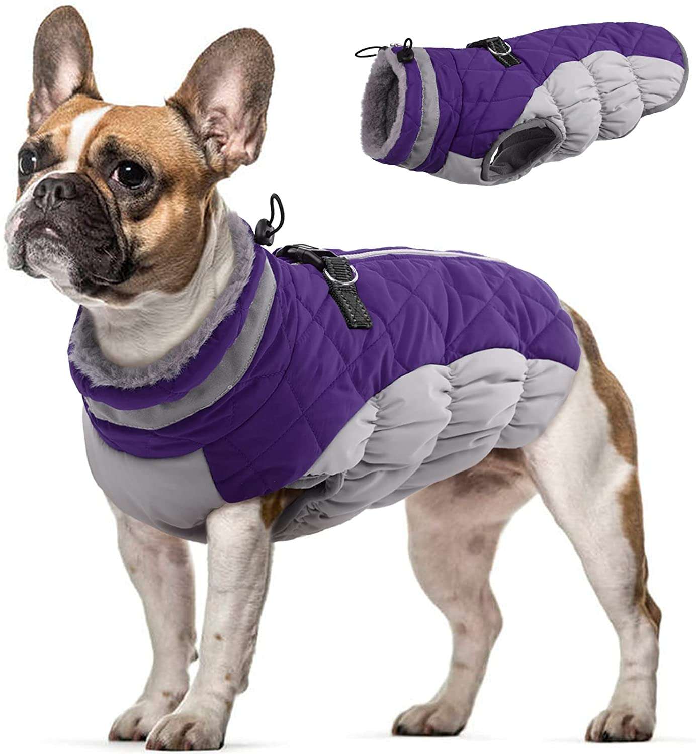  jacket for dogs
