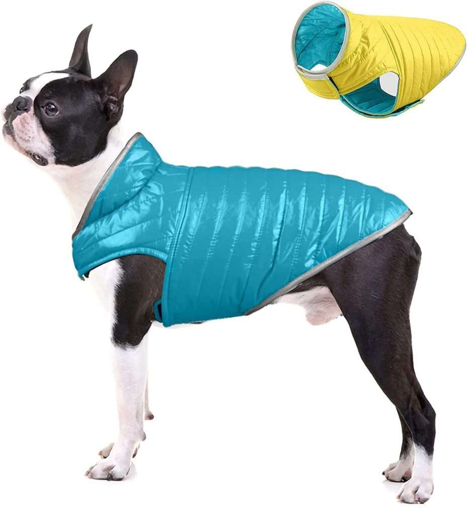 didog jacket for dogs