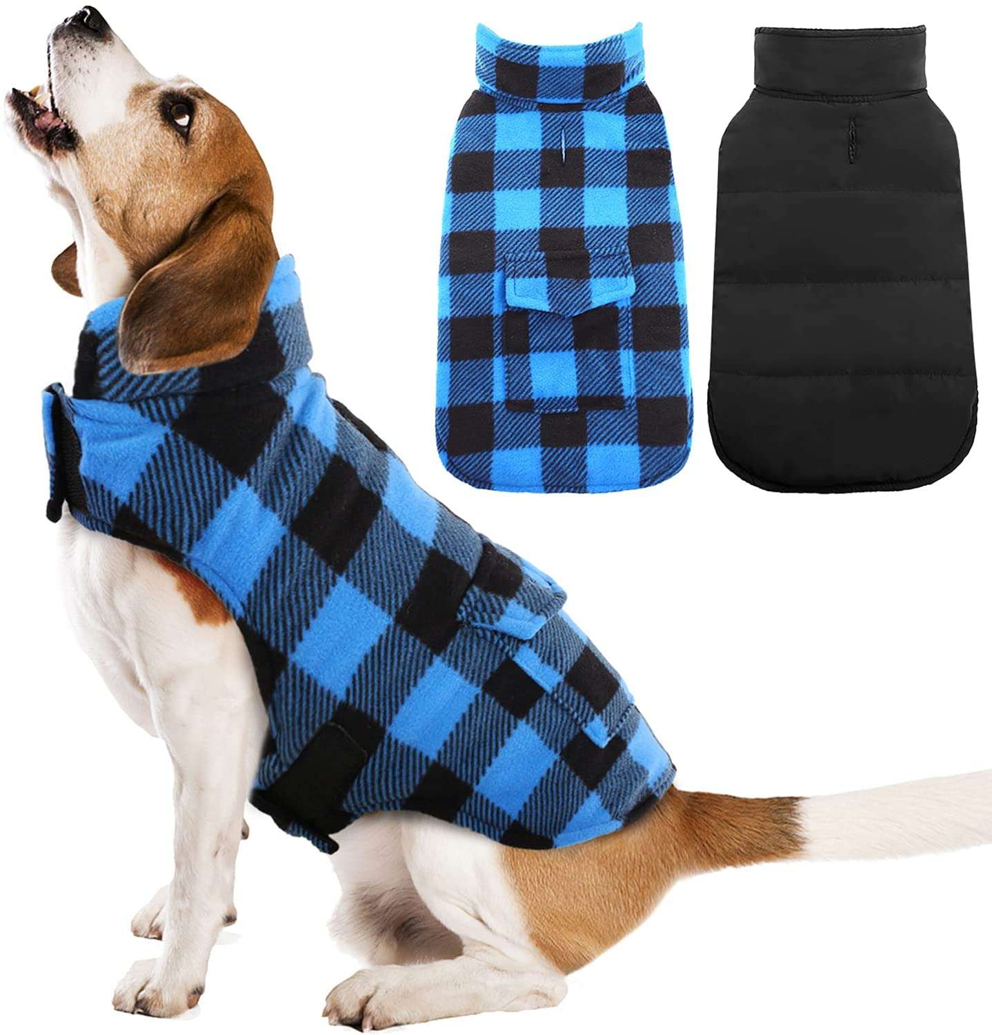 blue jacket for dogs