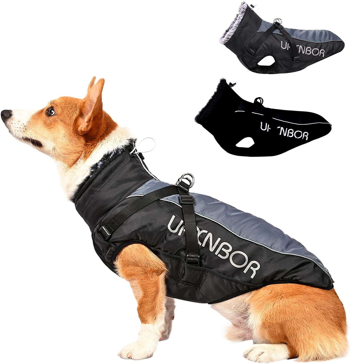 small jacket for dogs